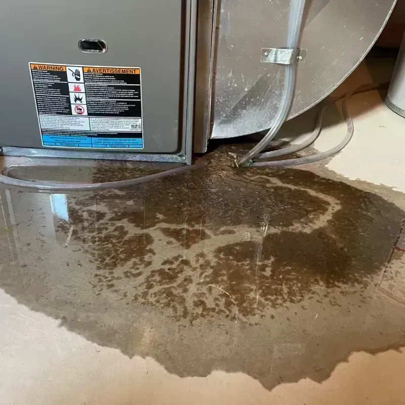 Appliance Leak Cleanup in Algona, WA